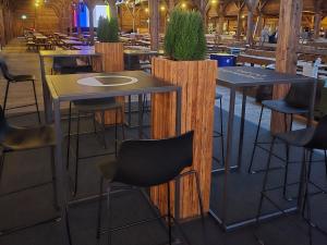 Wood Stehkube inkl. Sansevieria 1
